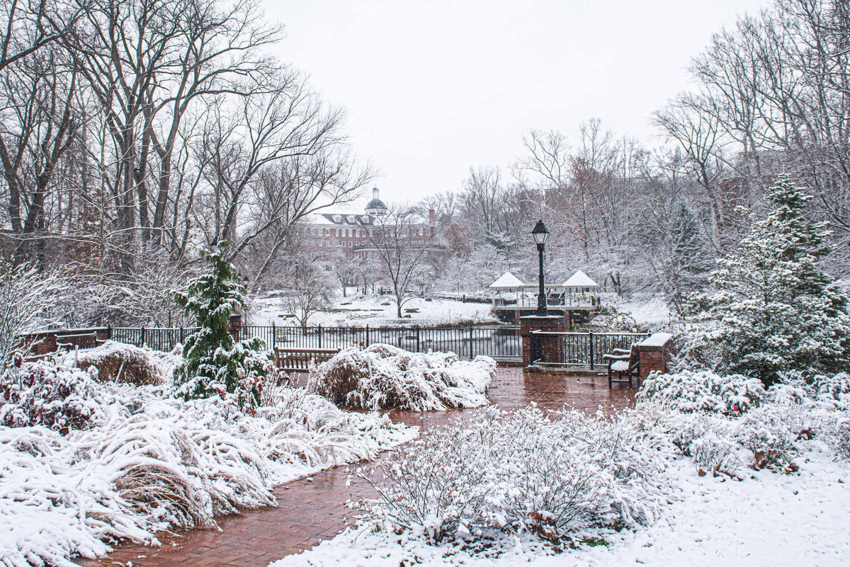 Can't stop thinking about this winter wonderland❄️😻