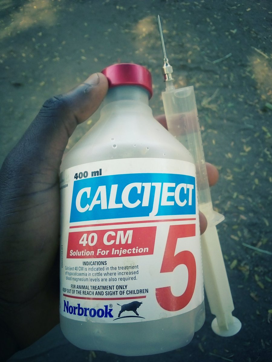 ExtrovertRich's tweet image. 💪