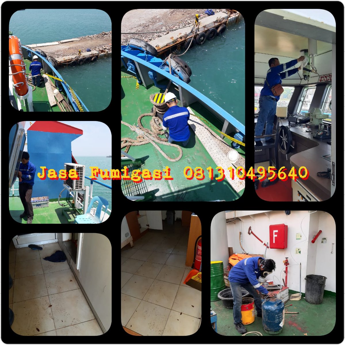 JasaBasmi's tweet photo. Spesialis jasa basmi hama, nyamuk, kecoa, tikus, kutu kasur, rayap dll
Call CS:081310495640
#basmitikus
#baamirayap
#basmikecoa
#basmilalat
#basmirayap
#basmikutubusuk https://t.co/oFJW0C54IJ