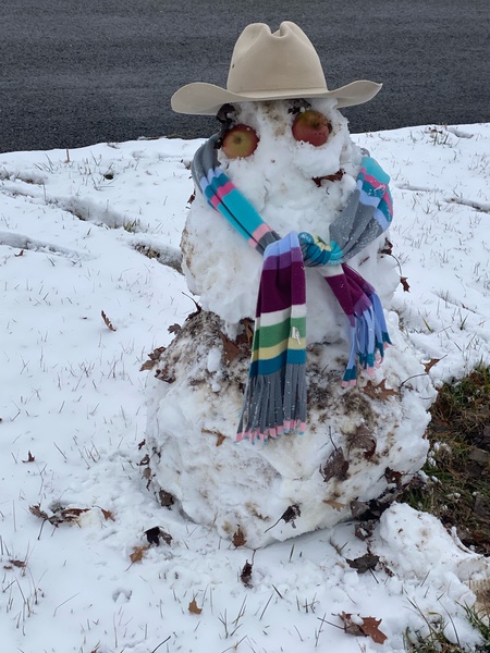BG_preschool's tweet image. Snow day adventures continued... drawing lines in the snow, making a snowman and throwing snowballs at our sisters made for a fun day! During small groups today we discussed our activities and wrote about them. @OESCards @ctetigers @WCPS_preschool #wcpsprekvirtualacademy