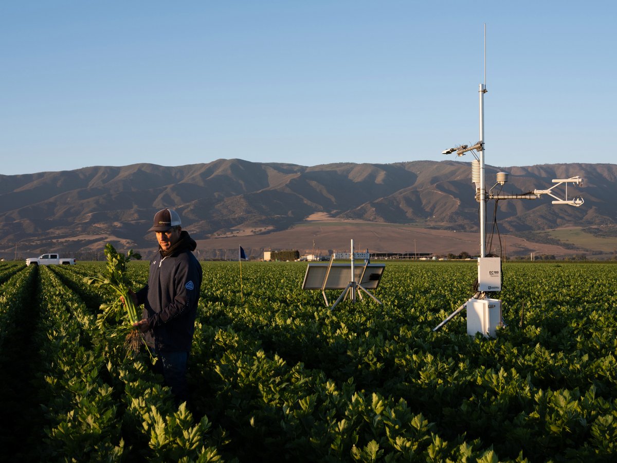 “Ag tech” startups are looking to transform humans’ role in one of the oldest occupations on the planet. After at least 15 years of promises, these startups may finally be onto something. This is a thread about the technologies that can change the way our produce is grown.