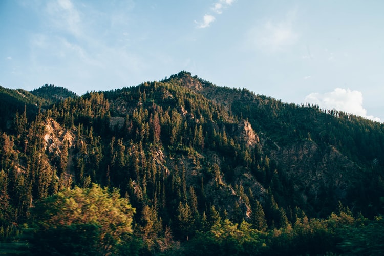 AlpineGeek's tweet photo. Are you looking for an exclusive podcast that teaches you all about our alpine spaces? Well, the Alpine Geek is the perfect podcast for you! Learn more about us here: https://t.co/2WECUwwsNs #AlpineGeek #Nature https://t.co/55XjBCrkZy