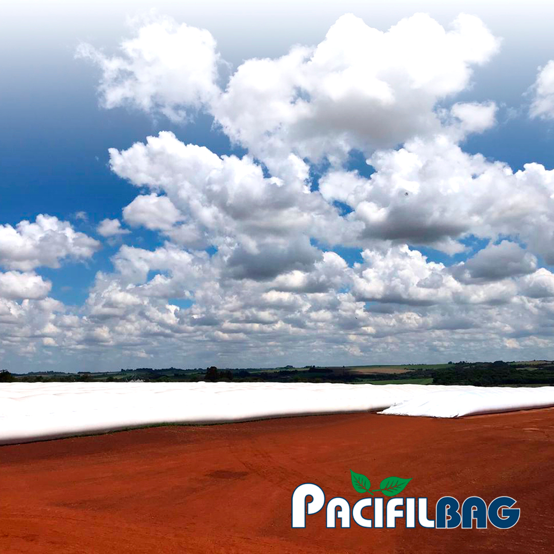 Registros dos nossos clientes no município de Santo Augusto, Rio Grande do Sul! 😁🌱🇧🇷

📧 pacifil@pacifil.com 

#pacifil #pacifilbag #conalmadeproductores #bolsadesilo #granos #forraje #silobolsa