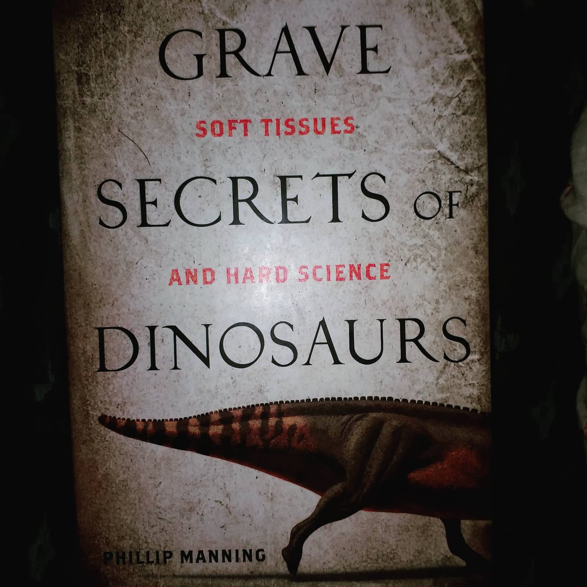 MiduHadi's tweet image. Just #randomclicks
Notes from beloved #booksellers, cutesy stuff from #booksubscriptionboxes, #books bought from #bookbazaars and new #loves from awesome #bookstores

#gravesecretsofdinosaurs #lunarcats #michaelcrichton #sherlockholmes #monstrousaffections #midureads