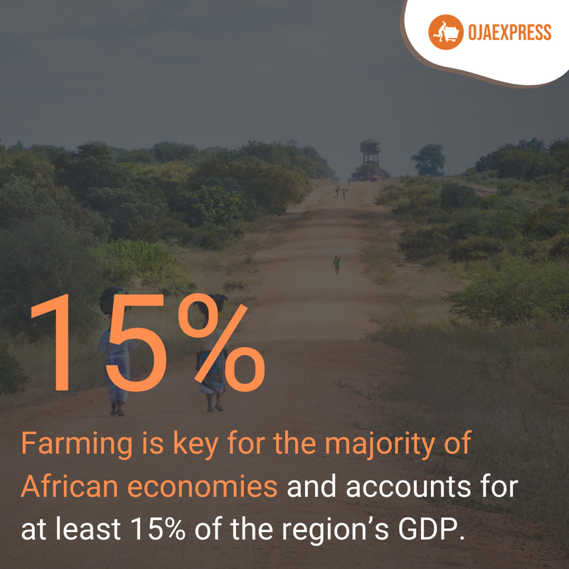 OjaExpress's tweet photo. π In addition, around two-thirds of the African population is employed within the sector, the vast majority working on small-scale farms that currently produce around 90% of all output.
#OjaExpress #Africa #AfricanProduce #Farming #Employement #FoodStatistics https://t.co/ulVFTfDH1w
