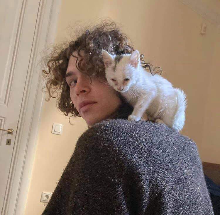 scarlettshaney's tweet photo. SOPHIE ft. animals ❤️😭 https://t.co/lesFMmKdYX