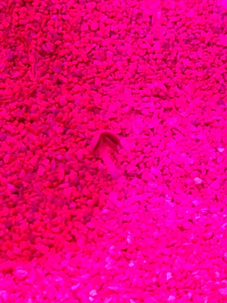 Jefferson MS Space Farmers tweet media