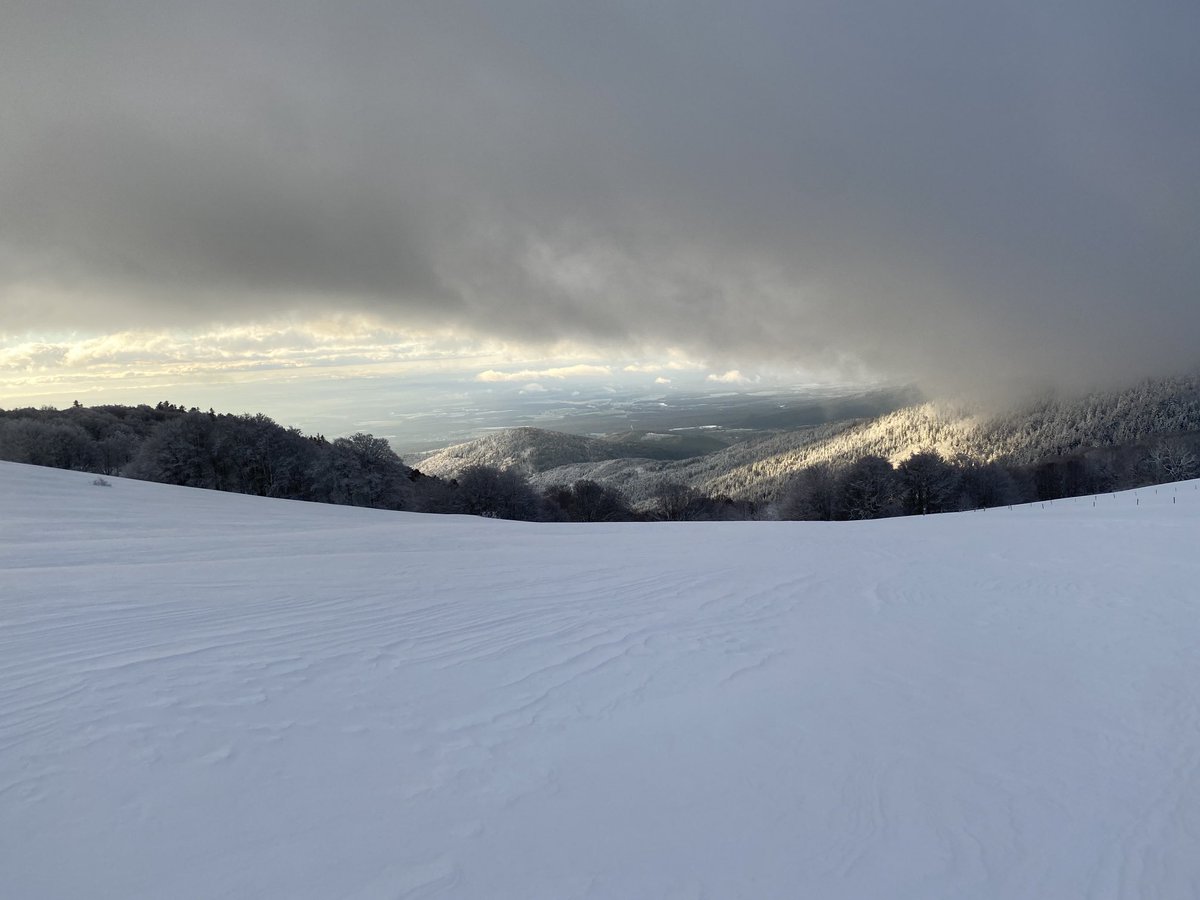 jacques rieg tweet media