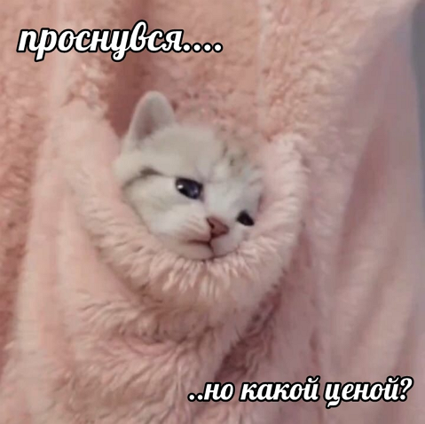 so_mad_so_funny's tweet image. 