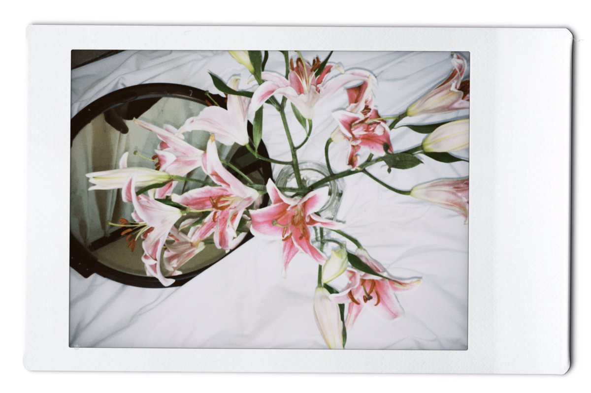 ฉลามขาว (@markleerubix) on Twitter photo 