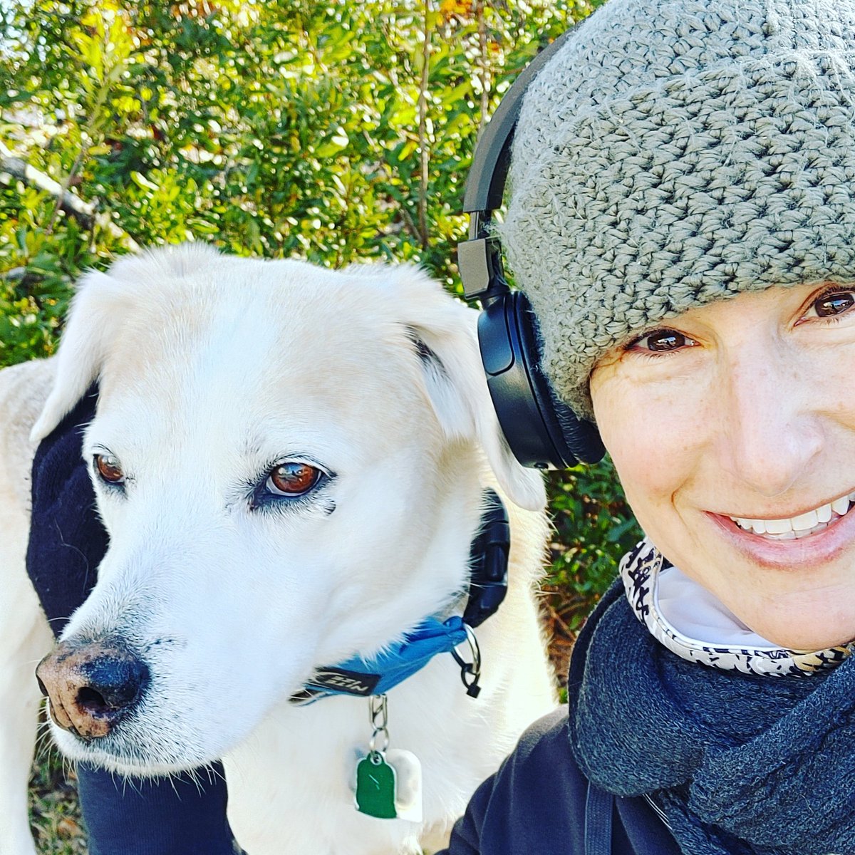 WilmywoodNC's tweet image. When do Major and Champ get their own twitter account? We are ready to follow! #FirstDogs  #majorandchamp @jrpsaki @PressSec @POTUS @WhiteHouse @meenaharris @JoeBiden @KamalaHarris