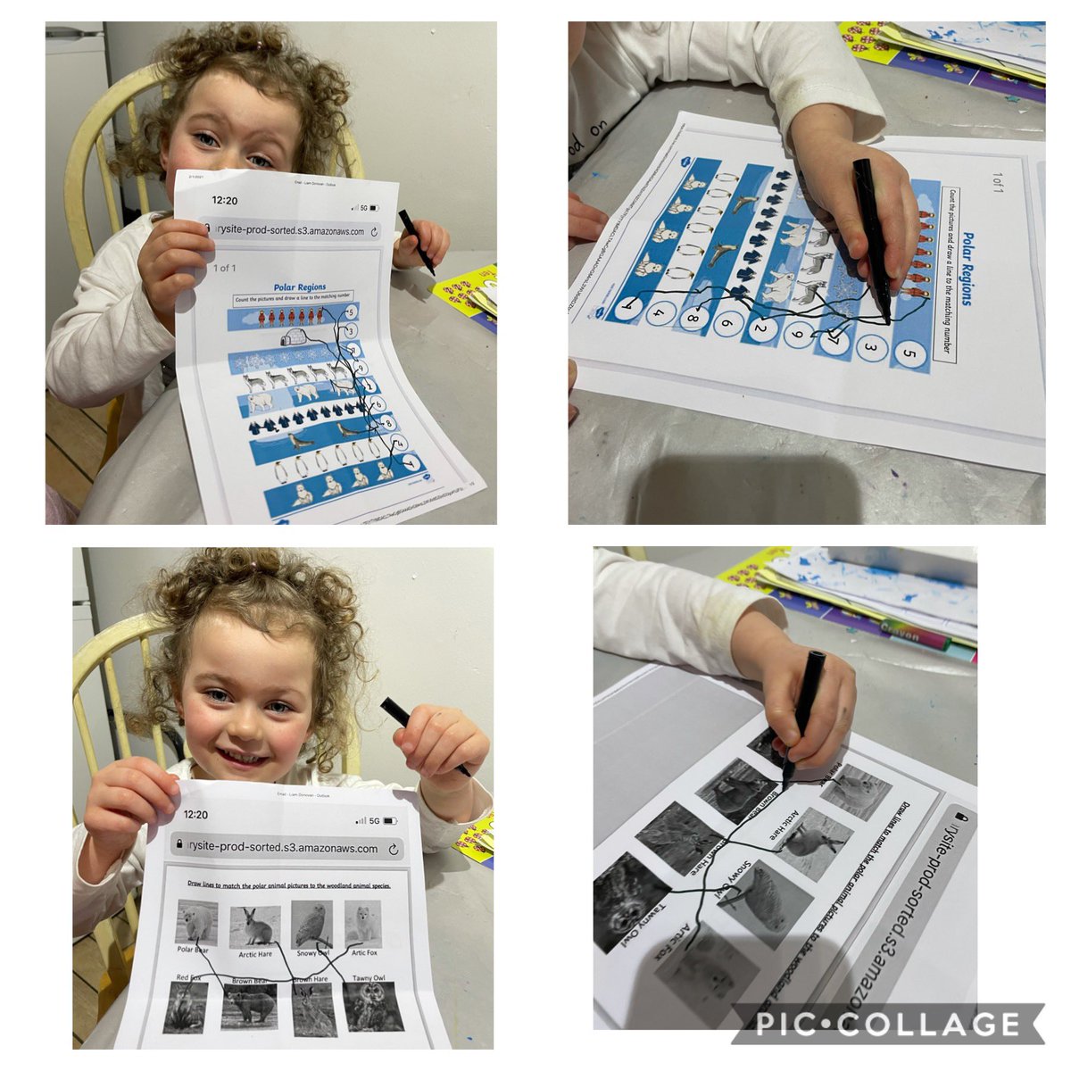 hayl85's tweet photo. @NurseryTps &amp; also matching the animals &amp; counting the pictures to match the numbers https://t.co/IytOkyv9cH