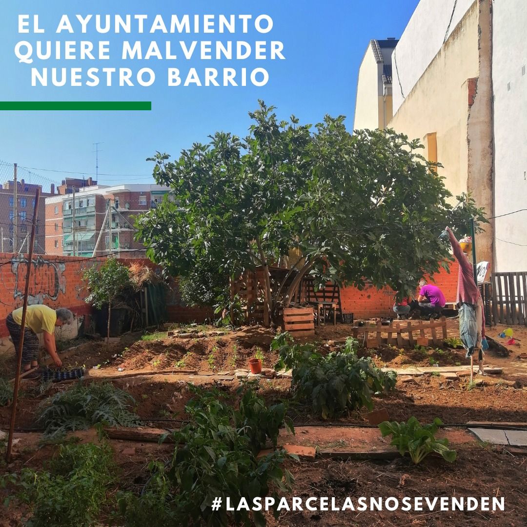 jacamadrid's tweet photo. Llevamos tiempo sin dar señales de vida por estos lugares pero aquí estamos de nuevo.
Habrá que esperar para unas nuevas jornadas de arte pero mientras tanto estad atentas a Carabanchel porque...
se vienen cositas pronto🔥
#LasParcelasNoSeVenden https://t.co/6kCrVPvX4T