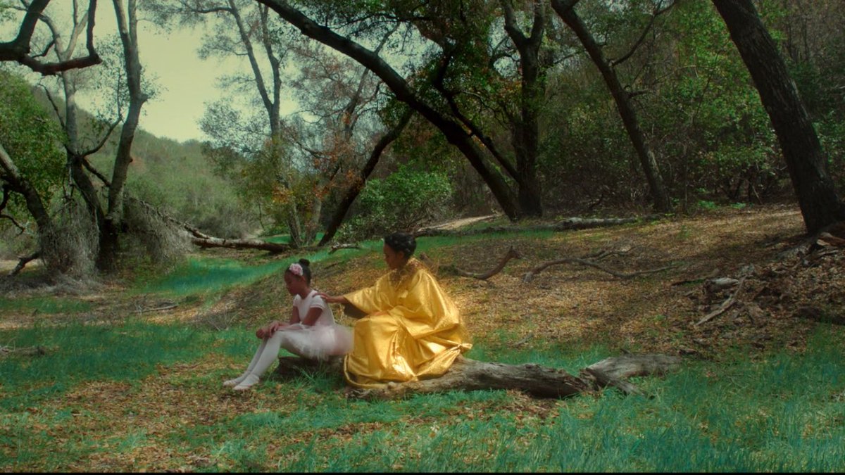 THEIR FALL OUR ALL (2014) dir. Terence NanceThis dreamlike fusion of political thriller and science-fiction fantasia is set to original music by Beyoncé.  https://www.criterionchannel.com/their-fall-our-all