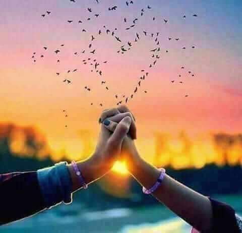 هذا عشق ليس له حدود
    خارج عن المألوف 
       كأنه فنان مبدع يزيد يوم عن يوم
           فى ابداعه فى ابتكاره 
              وتتلهف لسماعه 
                 ونعشق ابداعه