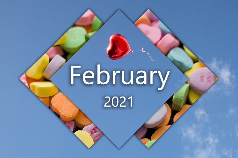 Starting out month two of 2021, and I have twice as much doggo in my newsletter! - mailchi.mp/9a1203db129e/t…