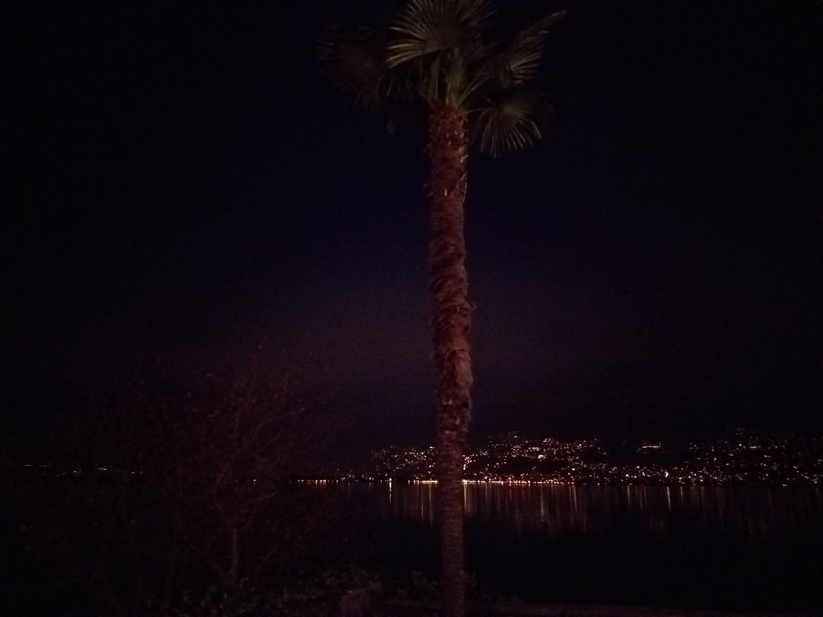 karniggels's tweet image. Wartezeit mit einem Spaziergang überbrücken. #Postbus