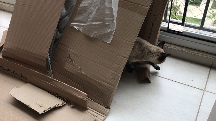 newe Fortishure    :: playgrond