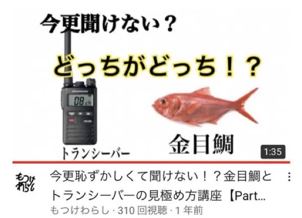 思わず見てしまう？金目鯛とトランシーバーの見極め方講座www