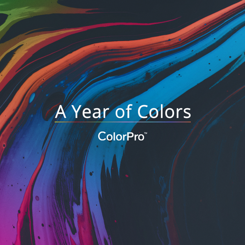 ViewSonicUK's tweet photo. Today, we launch a worldwide and yearlong ColorPro campaign - “A Year of Colours”.🌈

We're inviting participants to post their photos to the ColorPro Instagram account using the hashtag #MyVisionPrecisely. Read more ⬇️

#Photography #Design #Creatives #Colour #Designer #ColorPro