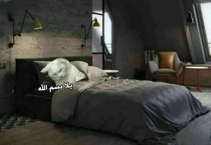 arabmemesss's tweet photo. الناس كلها بتشرب القهوة عشان تصحصح
انا بعد ما اشرب القهوة: https://t.co/NxYlmyfA58