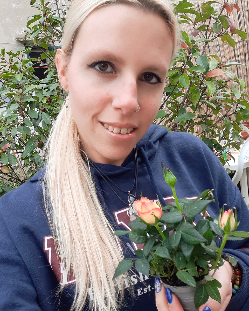 _hurricaneblue_'s tweet photo. New arrival in my garden!! Little roses...... loooooveeeeee this 🥰🌹
#roses #littlerose #rose #yellowandorange #shades #garden #roseslover #nature #naturelovers #plants #gardening #gardenlife #gardenlove #loveroses https://t.co/tJ5YjEbyOf