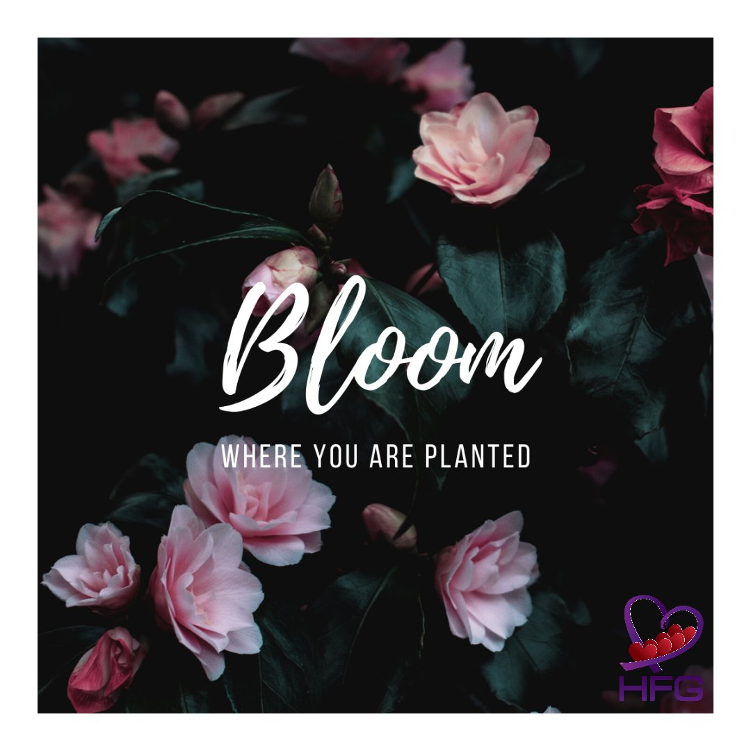 Cheers to a new week ahead! Let's find the strength to bloom even when faced with trials and tribulations. 
#perseverance #dontgiveuphope #findyourstength #hfgfamilies #nevergiveup