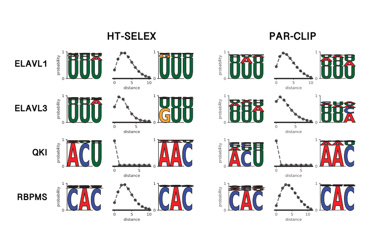 slmsoh's tweet photo. ... BMF can predict sequences bound in-vivo based on in-vitro data in a cross-platform validation. For highly predictive motifs, the spacer length is consistent across different experimental techniques. https://t.co/fC6DkDTvI1