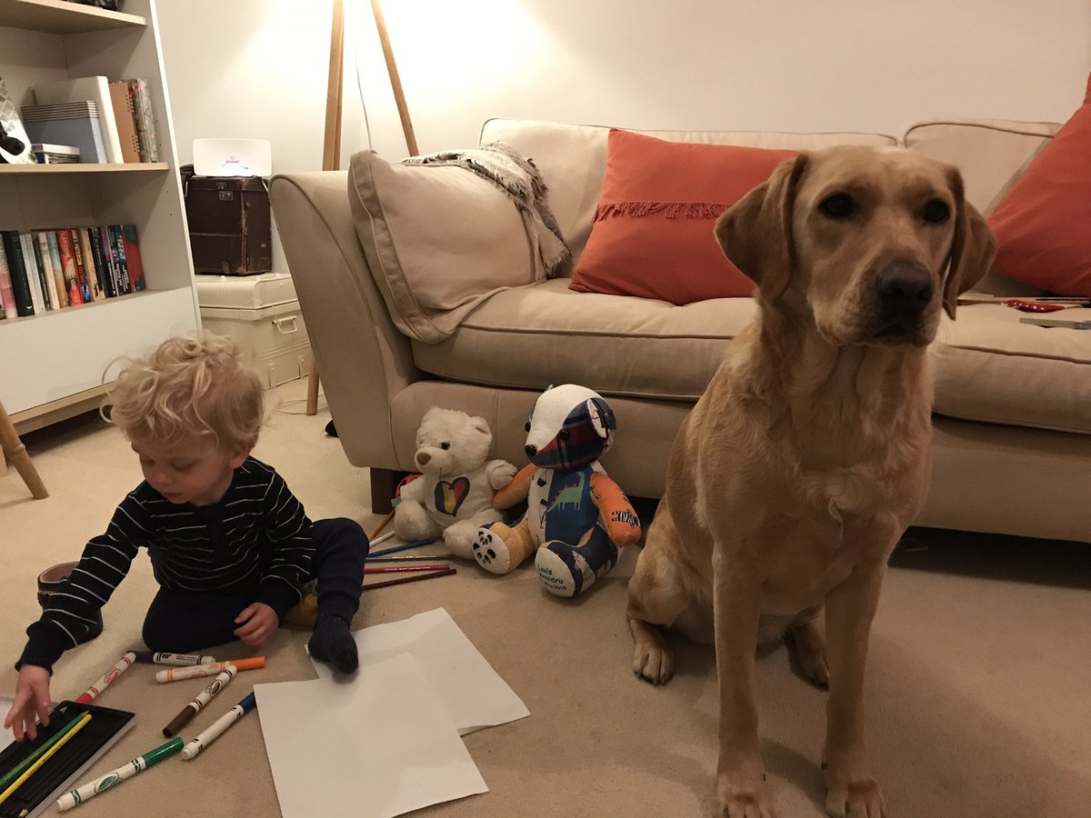 GTrifan's tweet photo. My Monday night lockdown crew 👶🐕 🐻 🎨 ❤️ #kinglouis #poppythedog #bear #fun https://t.co/tWbAno3cf4