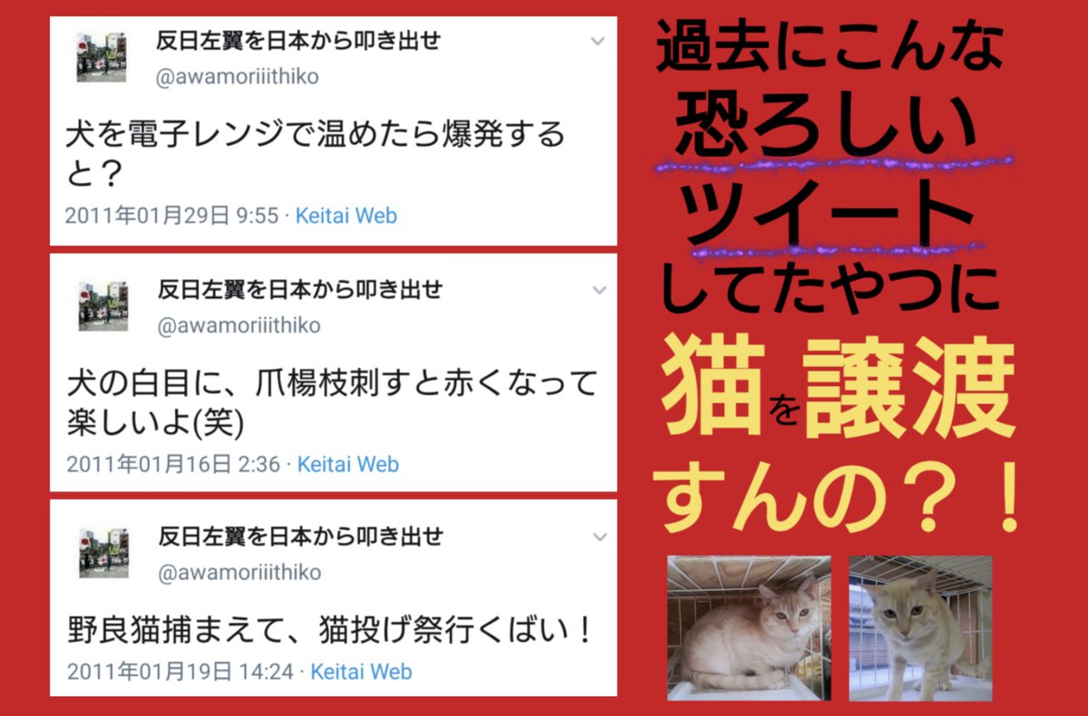 ふんふん 我輩はポンである 動画主の発言 本人とtwitterのこと ちゃんと話した はっきり言って昔のことなんかどうでもええ 人間って変わりますから どんな極悪な人でも変われる 猫たちに命かけてやってる 猫は僕の子供 譲渡先で 殺され ふんふん 我輩はポンである 動画主の発言 本人とtwitterのこと ちゃんと話した はっきり言って昔のことなんかどうでもええ 人間って変わりますから どんな極悪な人でも変われる 猫たちに命かけてやってる 猫は僕の子供 譲渡先で 殺され