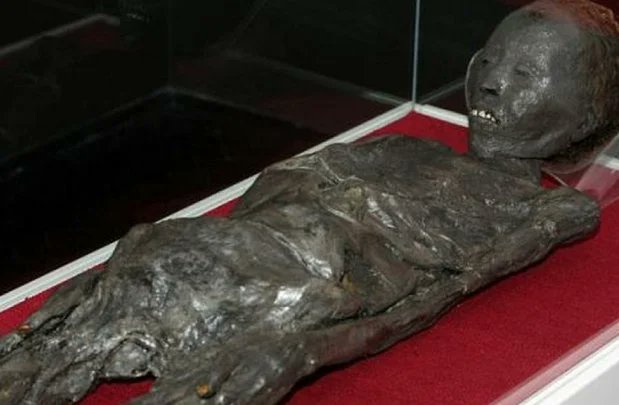 _Ulixes's tweet photo. La #Momie de #Zagreb⚰️
Découverte en #Égypte (1er siècle av.J.-C.)
Simple momie ??
Les bandelettes l'enveloppant contiennent un manuscrit #Etrusque. 230 lignes de calendrier religieux.
Cet ouvrage prouve la forte présence de la diaspora Étrusque dans le bassin méditerranéen. https://t.co/1ZJrtKsT6h