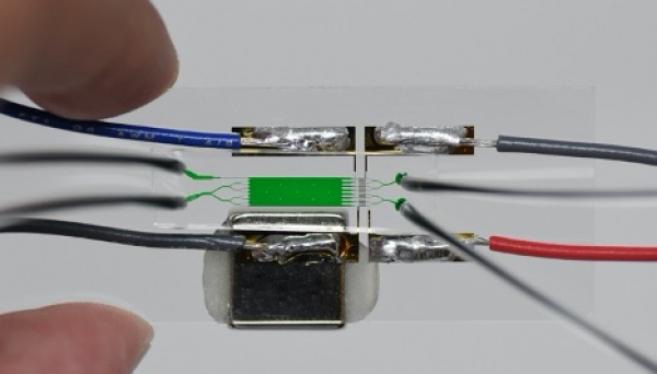 GaTechOTL's tweet photo. #AvailableForLicense: This #microfluidic device uses disposable, handheld equipment to achieve results similar to those from a commercial flow #cytometer but without the need for initial purification. https://t.co/GRGQhX10Iz @GeorgiaTech_ECE @GTResearchNews @GeorgiaTech https://t.co/XrcOj5GNi4