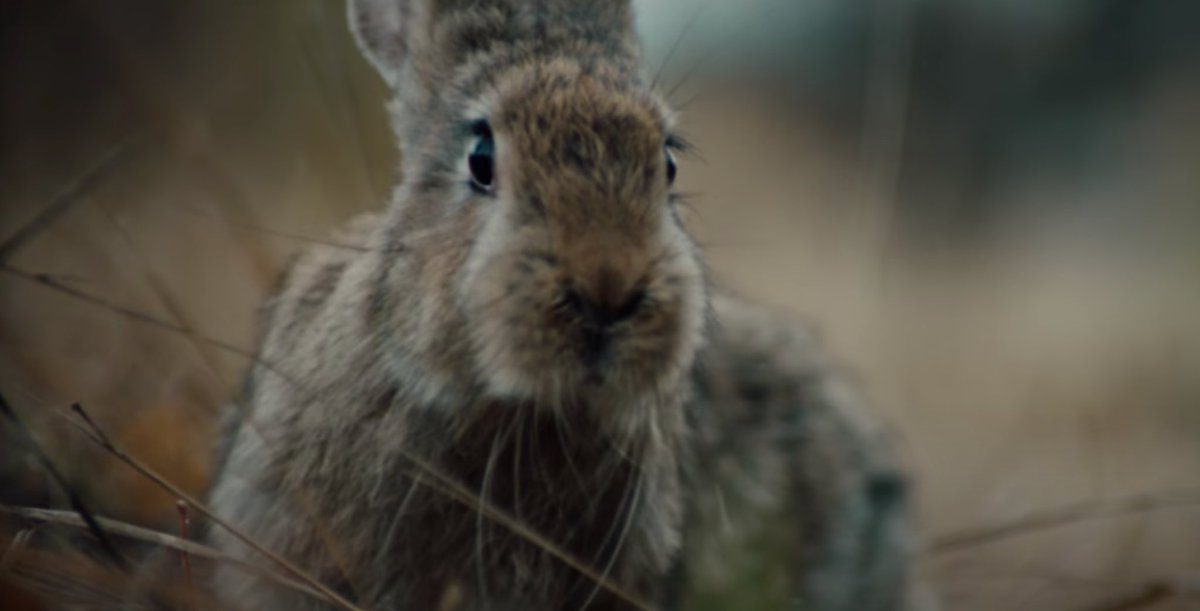 Ben Howard tweet media