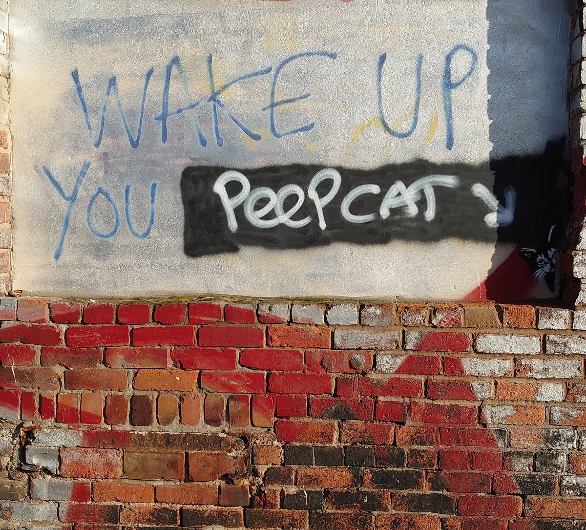 WAKE UP YOU PEEP CAT #StreetArt #fiveweirswalk #sheffield #graffiti #cat