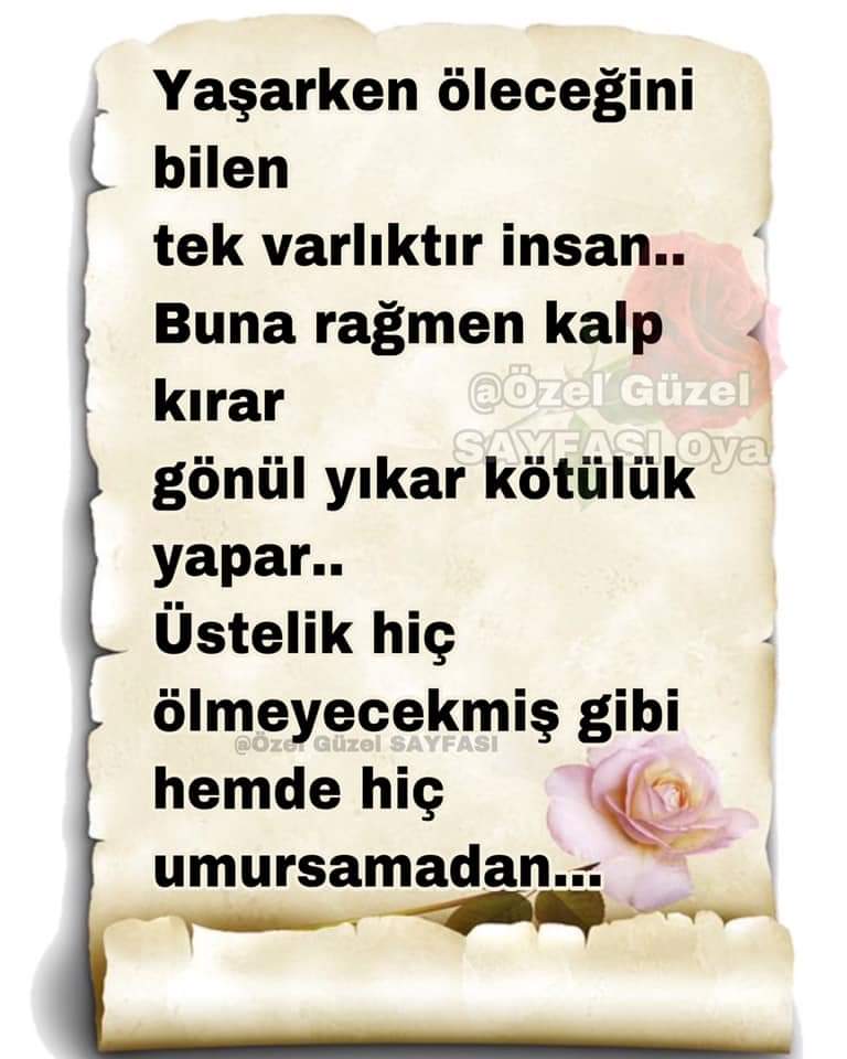 SultanTasl's tweet image. 