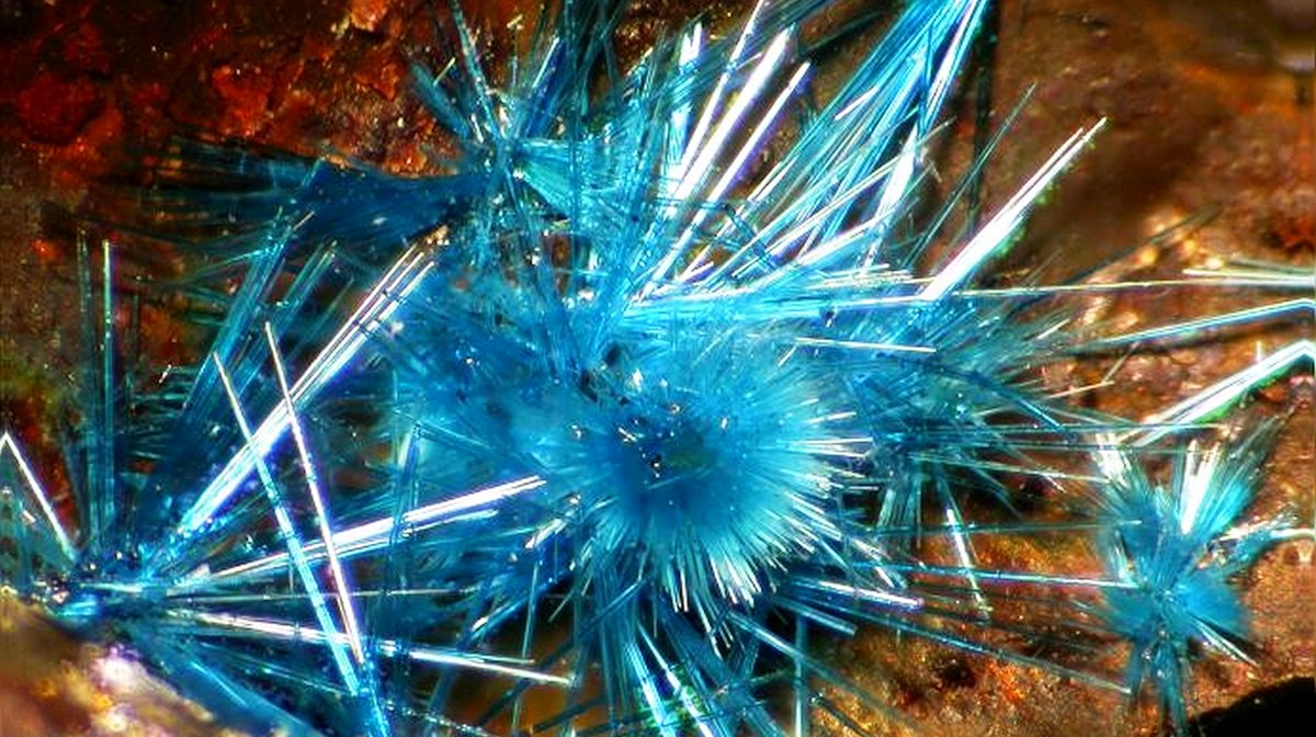 geocappiello's tweet photo. #1February #February1 #1Febbraio #1月2日 2021
Connellite - Cu19(SO4)(OH)32Cl4 · 3H2O
Cobre Mine, Vila Velha de Ródão, Castelo Branco, Portugal
photo ©️ Leon Hupperichs via Mindat (2007)
#connellite #minerals #gems #crystals #mineralmonday #mineralogy https://t.co/SkkyCZBqjV
