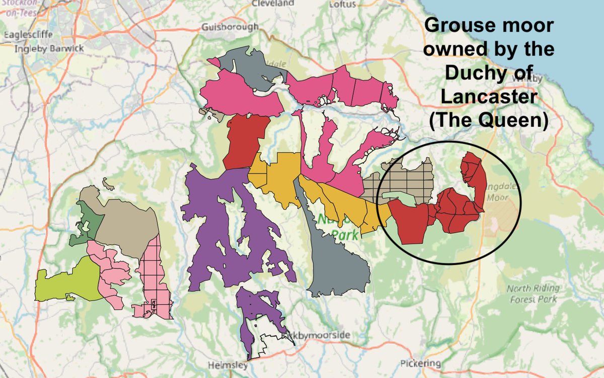 Last week, the Govt said it will legislate to ban moorland burning - but its proposals contain many loopholes.So, who owns the grouse moors that may be exempt from this burning ban? First up: the Queen's grouse moor in North Yorkshire! (1/n) https://twitter.com/guyshrubsole/status/1355231816999972865?s=20