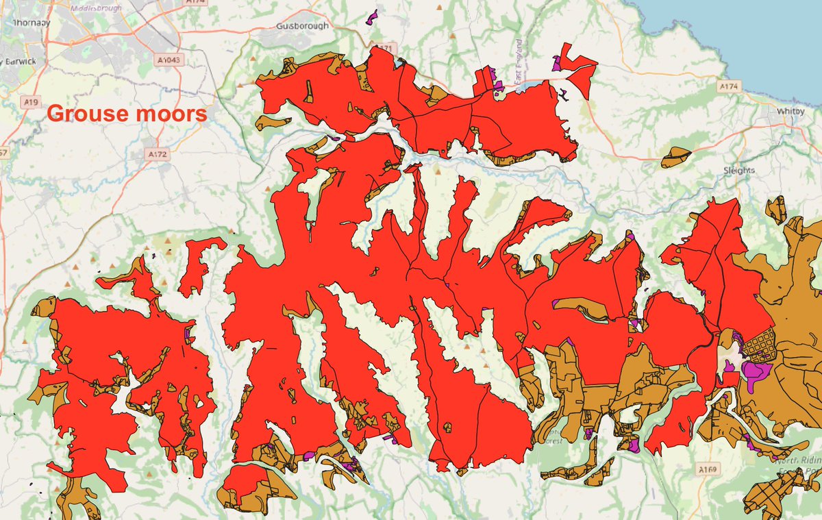 (2/n) In fact, most of the grouse moor estates in the North York Moors look like they'll be exempted from a burning ban - because, despite all being designated sites (SSSIs, SACs, & SPAs), Natural England considers the peat here to be 'shallow' rather than 'deep'.