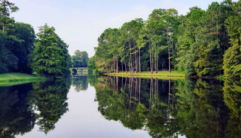 PhotosByNatacha's tweet photo. Monday Reflection 

Welcome February 2021

#jj_forum_3228 #trees #lakes #girlwithacamera #reflectionphotography #reflectionslake #treephotography #lakereflection #green #naturephotography #thewoodlandstx #thewoodlands #woodland #visittexas #visitthewoodl… https://t.co/VkdNei5UtZ https://t.co/E6yNj7vPG8