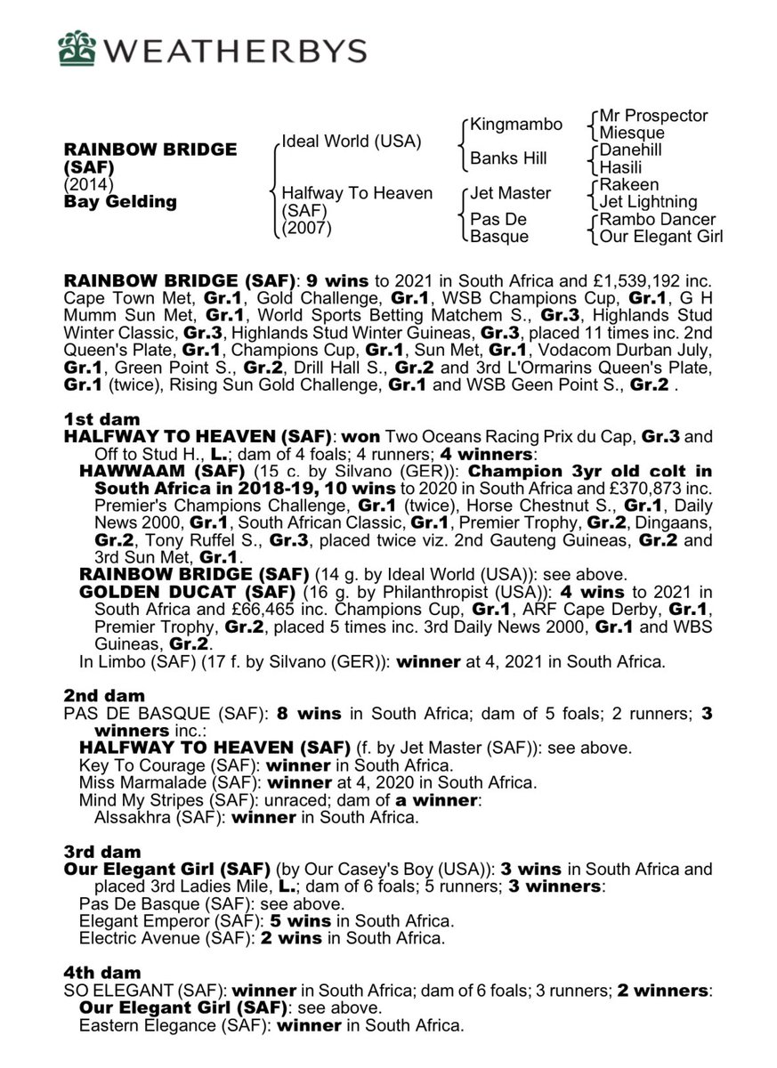 weatherbysltd's tweet photo. Rainbow Bridge added yet more lustre to the record of his dam Halfway To Heaven when landing the Cape Town Met. She has produced 4 winners from 4 foals - 3 at G1 level. The Met winner is by beautifully bred Ideal World - son of champion Kingmambo ex another champion Banks Hill. https://t.co/loZQ9rf16t