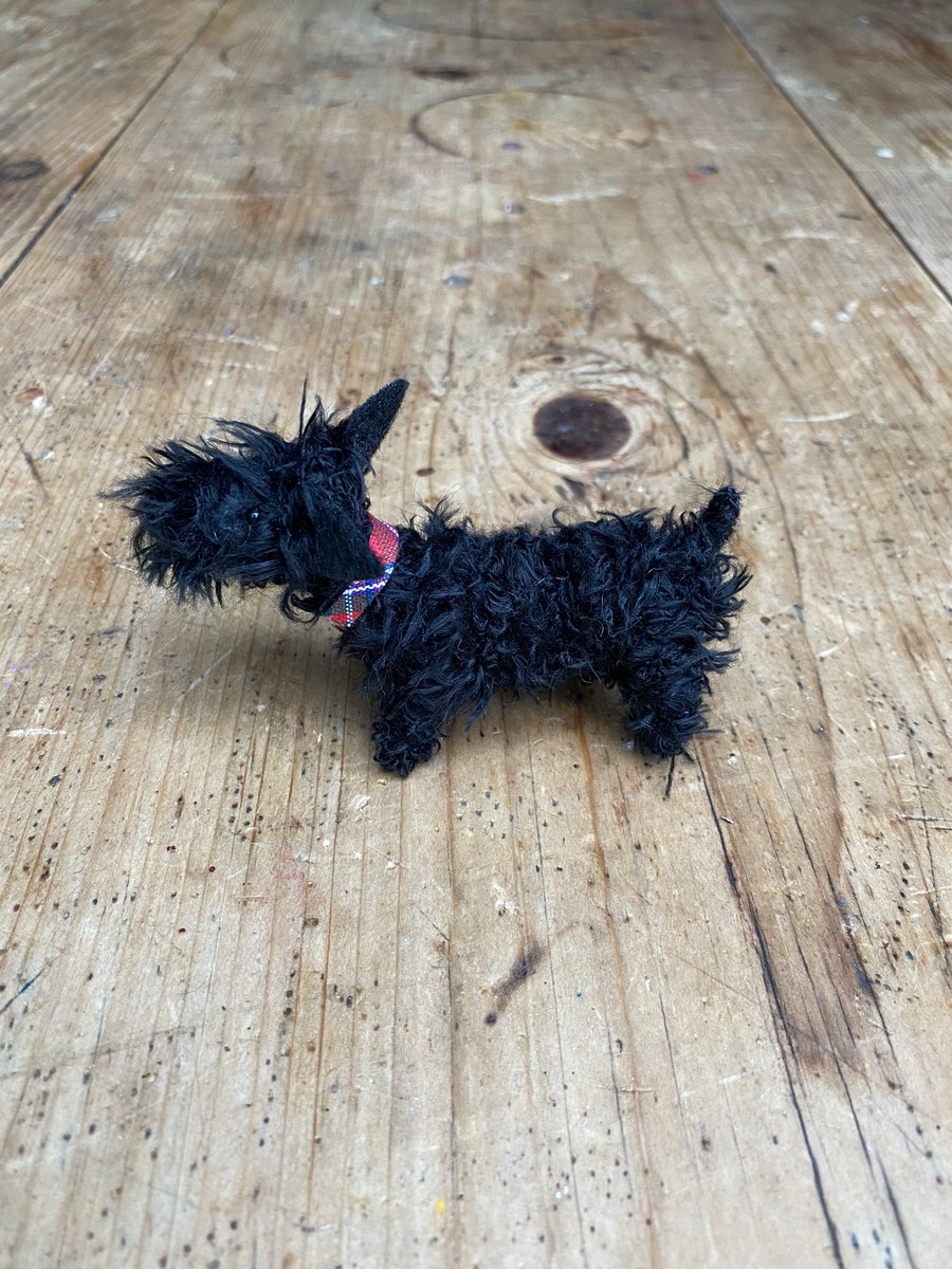 Sarah Strachan tweet media