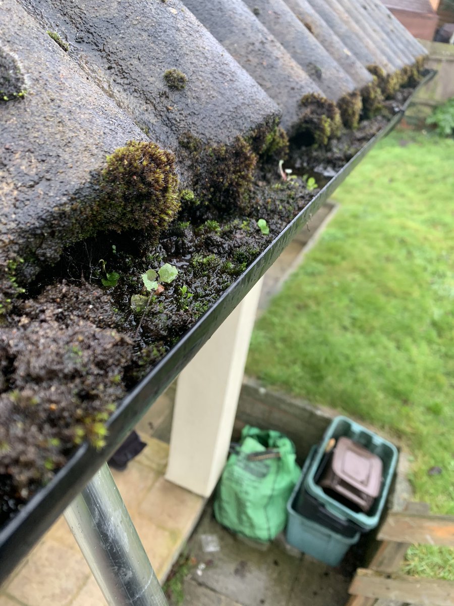 WindowMitchell's tweet photo. Before and after from a #gutterclear last week using the #guttervac ! #windowcleaner #southwest #SupportSmallBusinesses https://t.co/YnOIHh4XdH