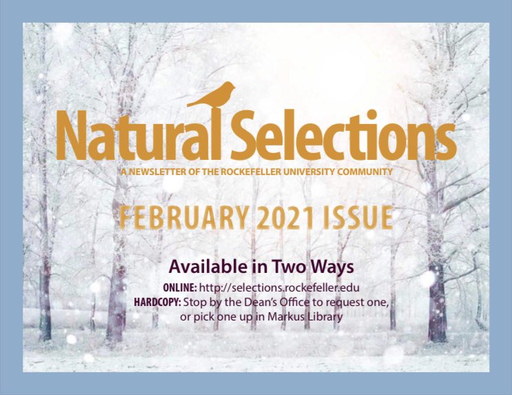 It's the first day of February &amp; that means a new issue of Natural Selections! 

Featuring how the Dean's Office supported students in 2020, the 1947 smallpox vaccination campaign, 2021 fitness resolutions, Culture Corner: innocent protagonists, &amp; more! 

selections.rockefeller.edu/wp-content/upl…