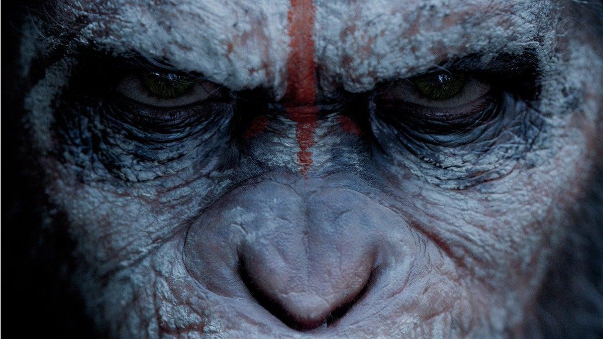 Elon Musk says his brain technology company, Neuralink, has implanted a device in a monkey's brain, and hopes to make it play games in its own mind. bit.ly/2NXnVD1