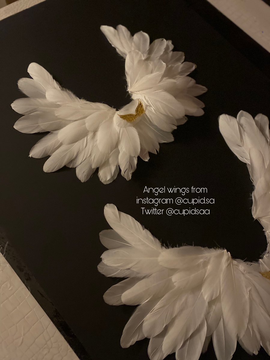 cupidsaa's tweet image. Angel wings for you angels 🤍