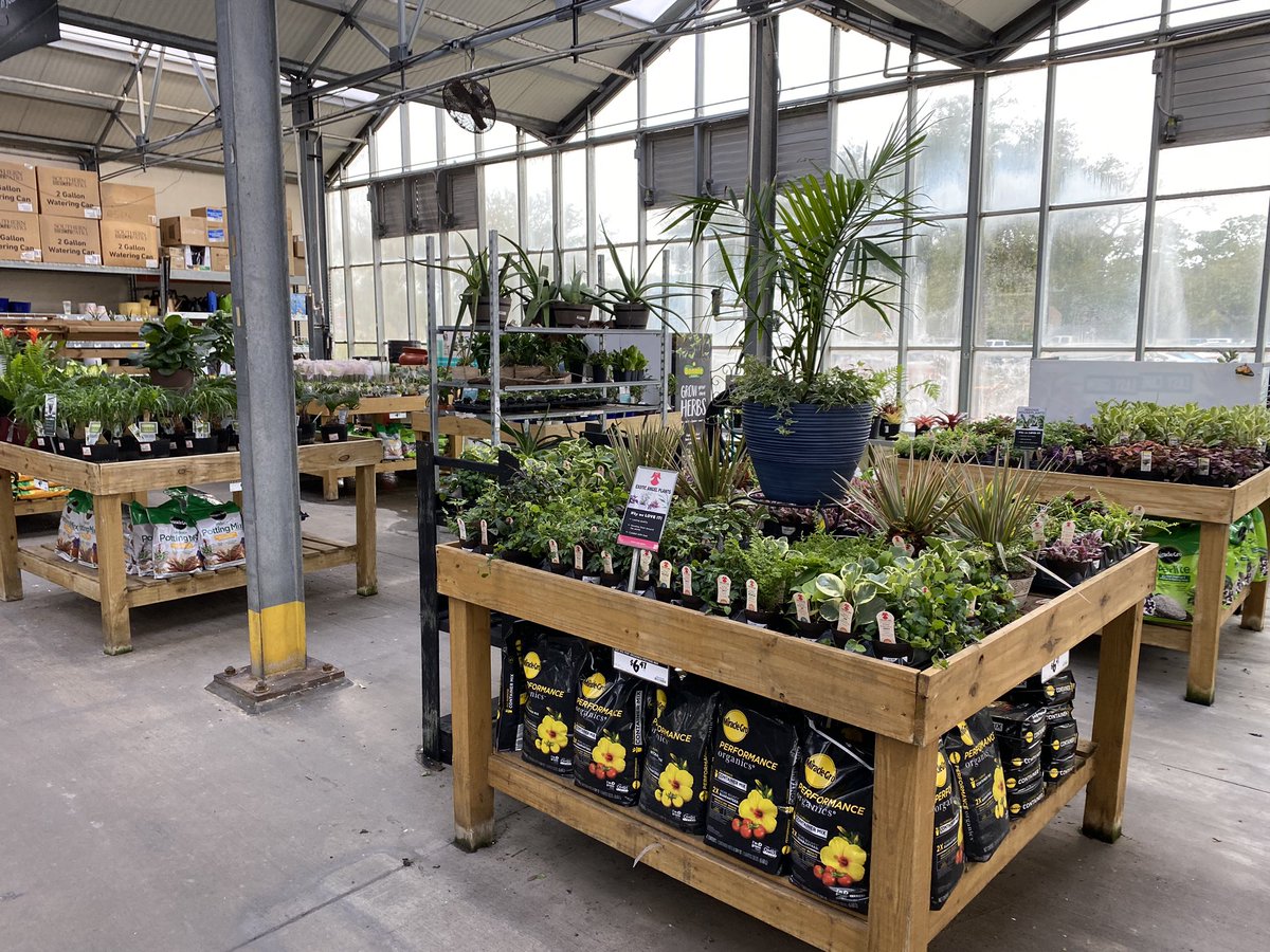 GregWilley4's tweet photo. HD 6365 looking good merchandised well nice indoor display. https://t.co/EvRdiwbld7