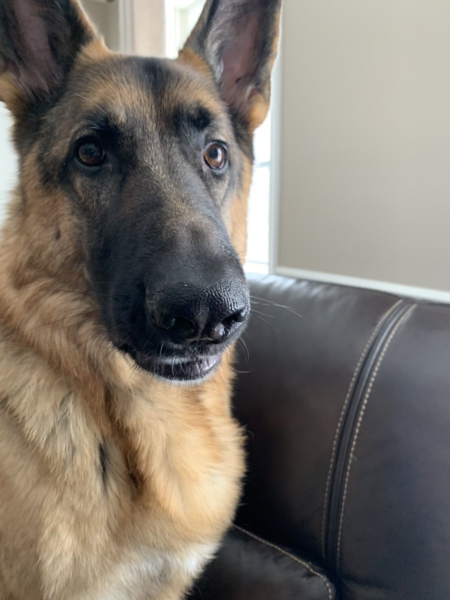 wolfgang_german's tweet image. The face of a Felon or a Free Goober??? You decide! #GarbageGate #FreeWolfgang 🆘🗑