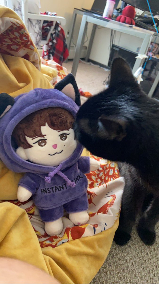 7hxnnxh7's tweet photo. It’s here! My cat likes kittyseo~ thanks @johnbearcafe https://t.co/IGl2wGsmAd