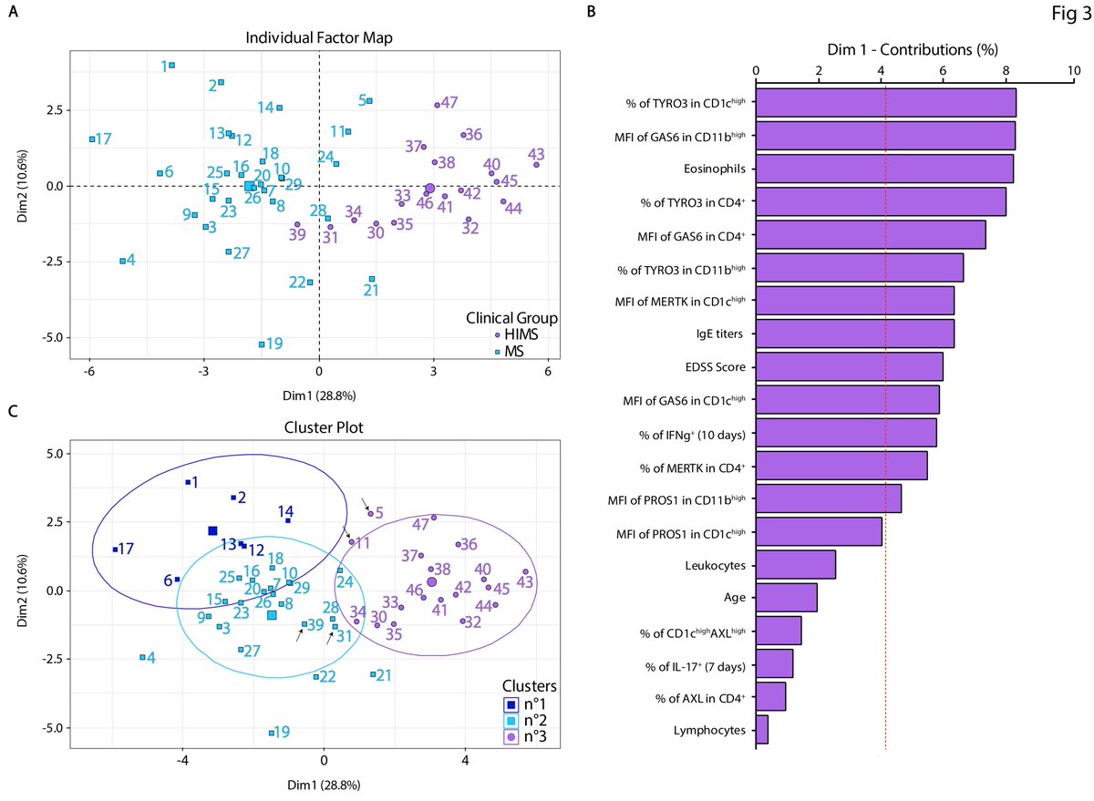 OrtizWilcJM's tweet photo. Then, @CintHia_Xn helped us to perform a FAMD resulting in a very clear separation of infected from uninfected patients across Dim1(28.8%), where the main contributors to discriminate them were #TYRO3, #MERTK and #GAS6 together with IgE, Eosinophils and EDSS score #type2immunity https://t.co/pW4ueNsKIq