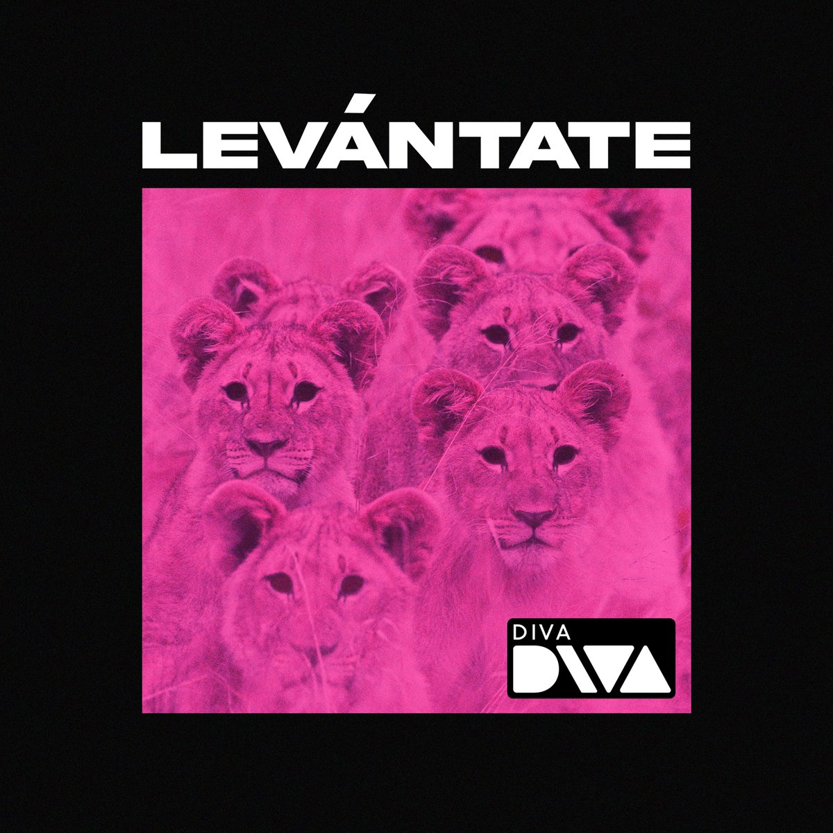 Esta es la portada de nuestro primer single "LEVANTATE"

¿Qué os parece?

Se acerca ya el día y nosotros... ¡nos morimos de ganas!
🔥05/02🔥

Diseño: @melenacolorada

#portada #levantatediva #newproject #single #05 #MusicMonday #divabanda #musicmonday